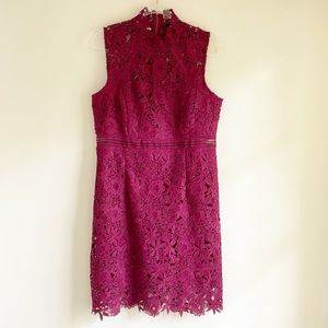 Bardot burgundy sheath lace dress